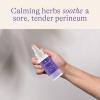 imageLansinoh Herbal Perineal Spray Postpartum Essentials 35 OuncesHerbal Spray