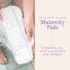imageLansinoh Cool Relief Postpartum Care Kit  12 Count Witch Hazel Perineal Ice Packs with Aloe Vera  40 Count Heavy Absorbency Postpartum Maxi Pads with Wings 2 Sizes for Day and Night UsePadsicles  Maternity Pads